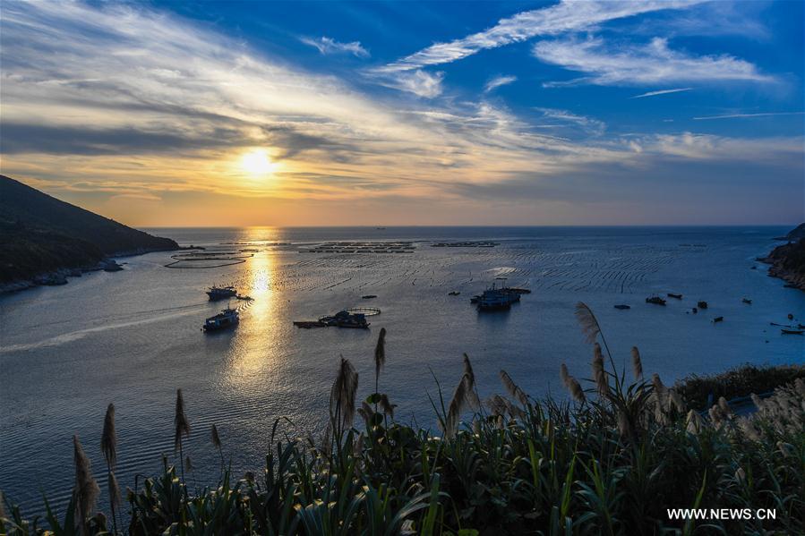 Scenery of Nanji islands in east China's Zhejiang