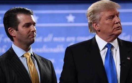 Most Americans say Trump Jr. meeting Russian lawyer inappropriate: poll