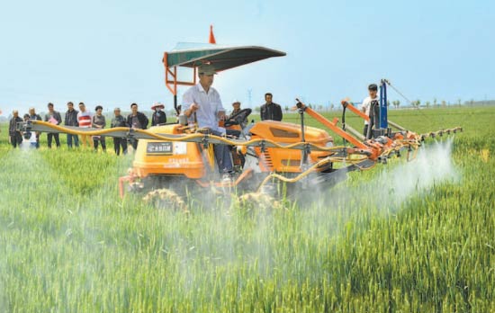High costs challenge China's agricultural competitiveness: report