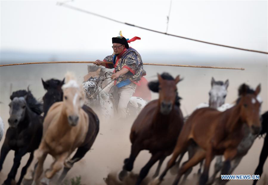 Efforts made to protect Mongolian horse culture