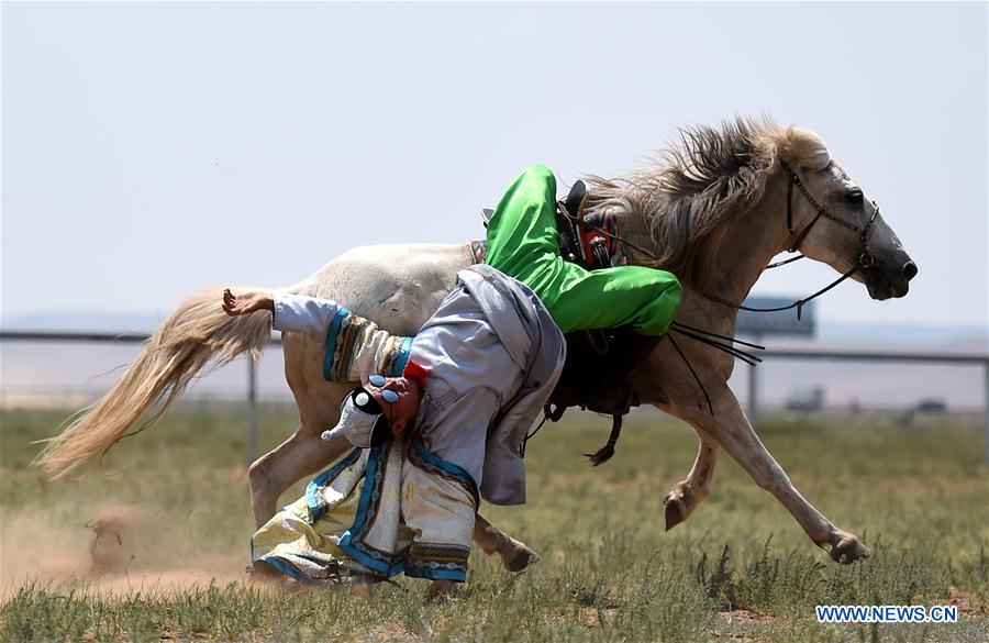 Efforts made to protect Mongolian horse culture