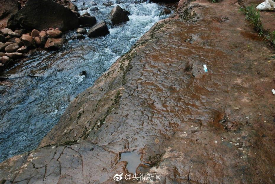 100-million-year-old dinosaur footprints found in Guizhou