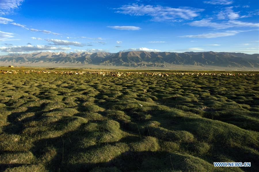 Amazing scenery of Barkol grassland in China's Xinjiang