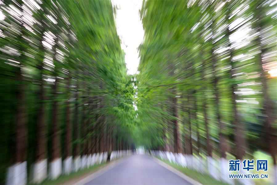Breath-taking scenery at Yellow Sea National Forest Park