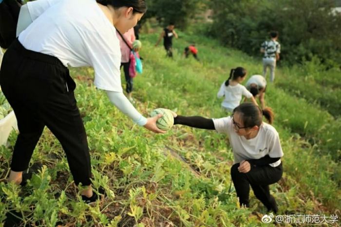 Harvesting watermelons! University offers free watermelon fest for students in Zhejiang