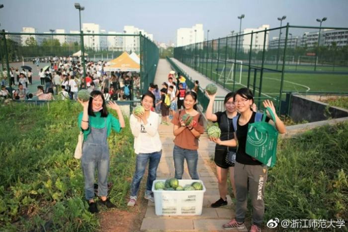 Harvesting watermelons! University offers free watermelon fest for students in Zhejiang
