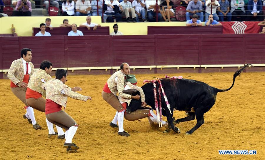 Highlights of bullfighting in Lisbon, Portugal
