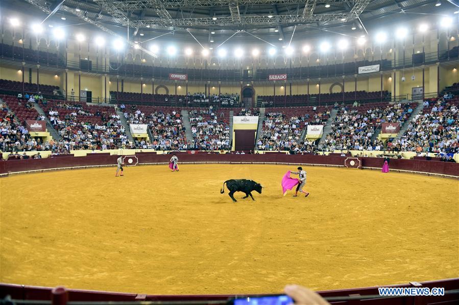 Highlights of bullfighting in Lisbon, Portugal
