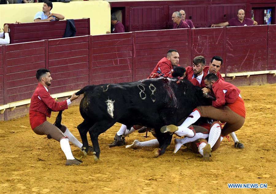Highlights of bullfighting in Lisbon, Portugal (10) People's Daily Online