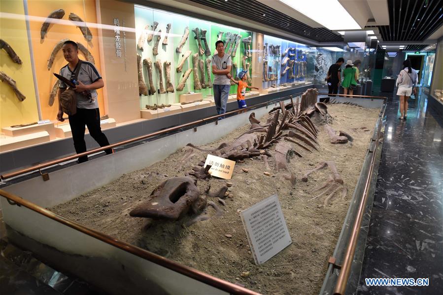 Dinosaur National Geology Park in NE China