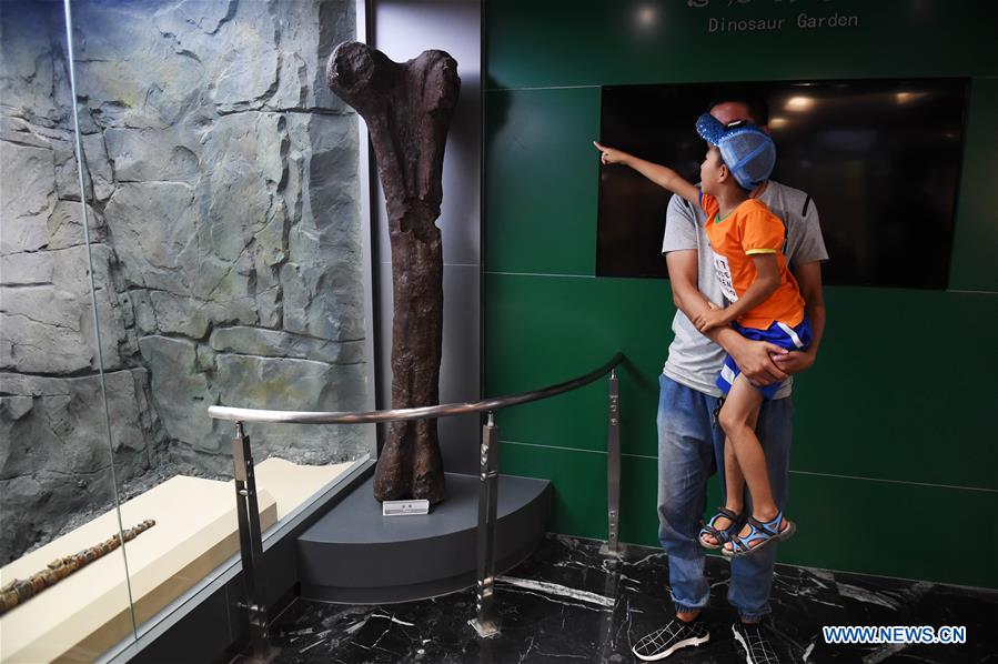 Dinosaur National Geology Park in NE China