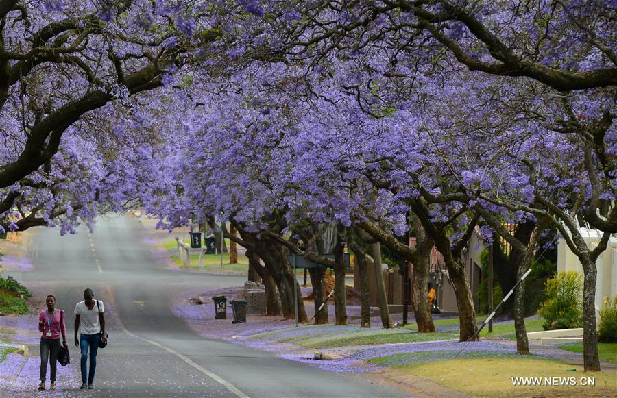 A look at stunning scenery in BRICS countries