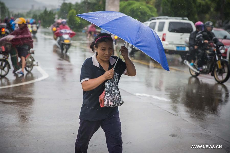 Typhoon Hato lands in south China
