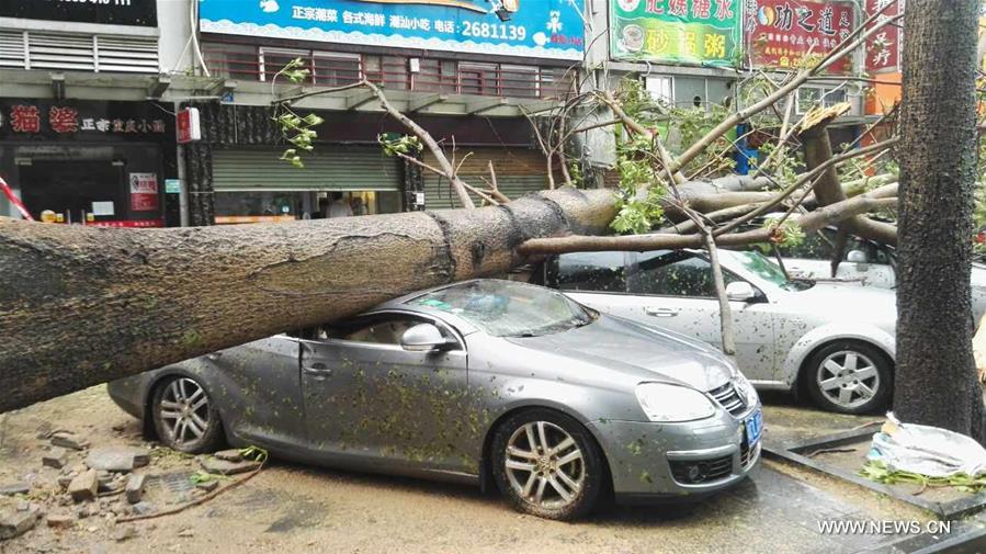 Typhoon Hato lands in south China