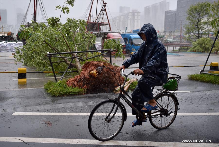 Typhoon Hato lands in south China