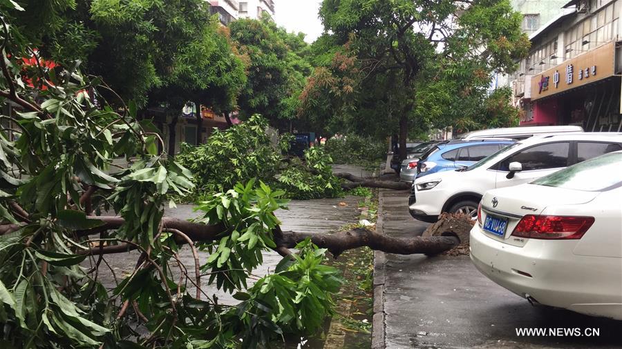 Typhoon Hato lands in south China
