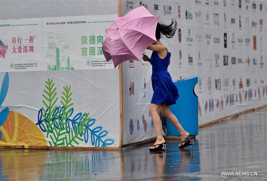 Typhoon Hato lands in south China