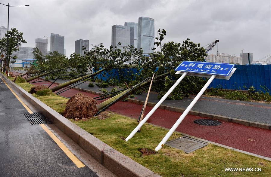 Typhoon Hato lands in south China