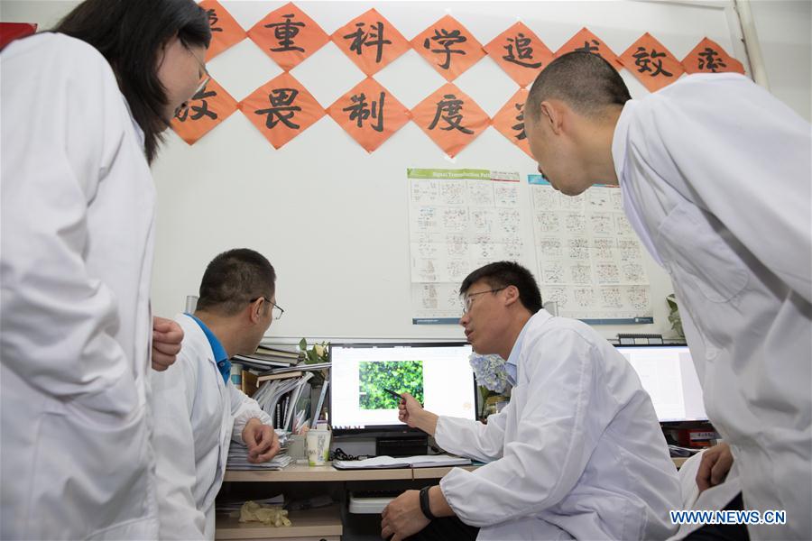 Chinese scholars returned from U.S. start research on 