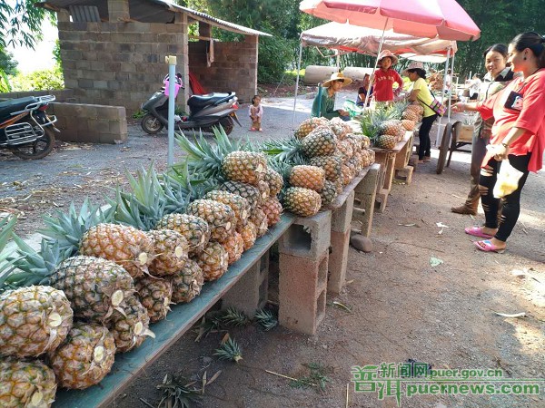 Sweet pineapples of Fengshan Town are on sale