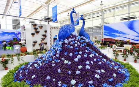 9th China Flower Expo kicks off in Yinchuan
