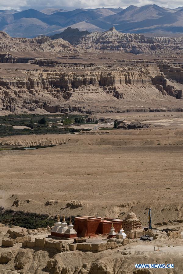 Magnificent scenery of Zanda soil forest landscape in China's Tibet