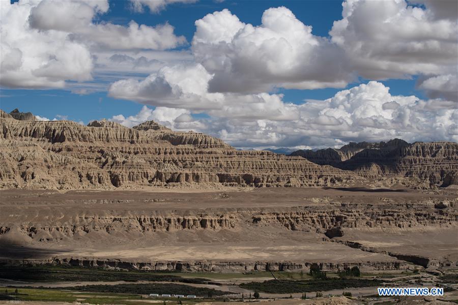 Magnificent scenery of Zanda soil forest landscape in China's Tibet