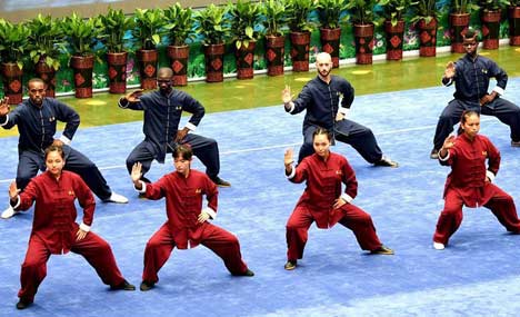 Central China tai chi training centers attract followers