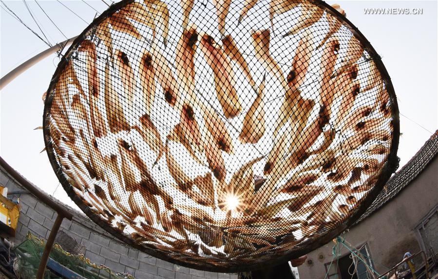 Common marine products dried in E China's Jiangsu