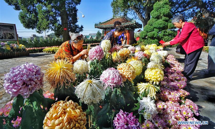 9th cultural festival of chrysanthemum flowers kicks off in Beijing