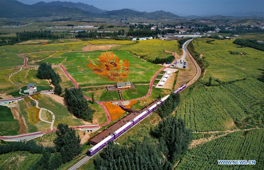 Tourist train seen in Dongxuzhuang scenic spot, N China's Hebei