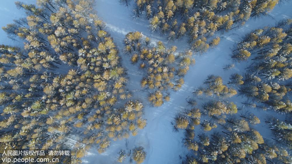 Breathtaking snowscape in eastern Xinjiang