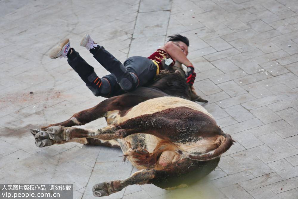 Bullfighter tumbling bull performance in E China