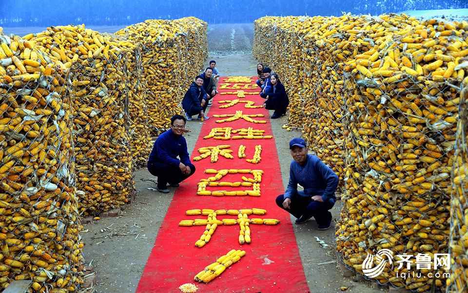 Shandong villagers create pattern with corn to mark upcoming 19th CPC National Congress