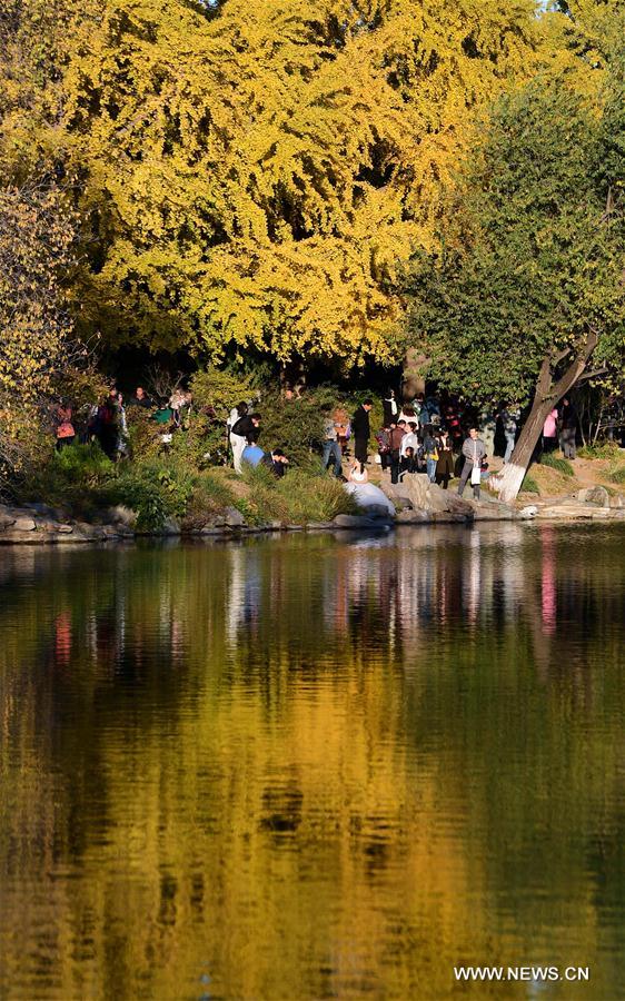 People enjoy autumn scenery in Peking University
