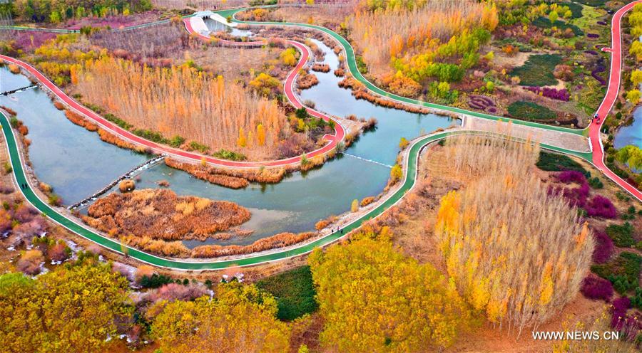Autumn scenery of Zhangye National Wetland Park in NW China