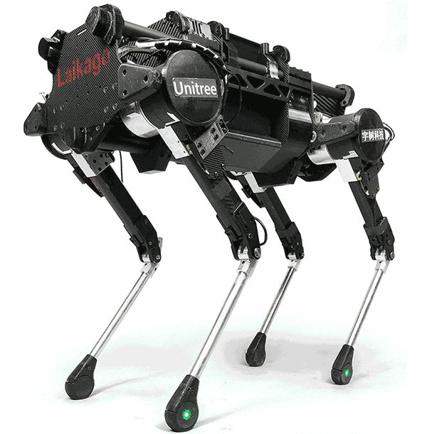 robot dog online