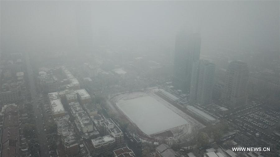 In pics: scenery of snow in NE China