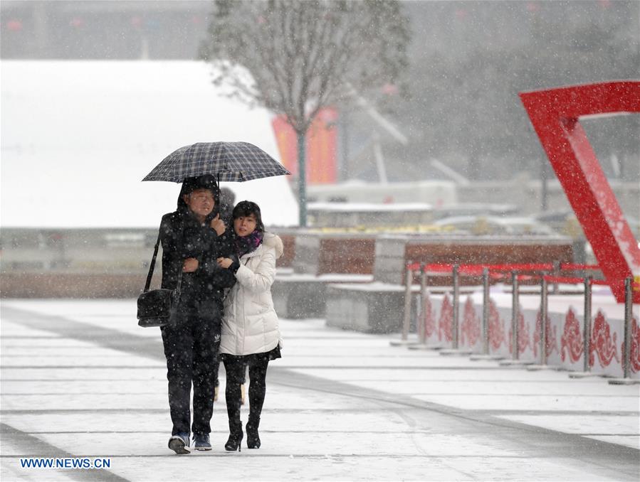 Snowfall hits parts of China