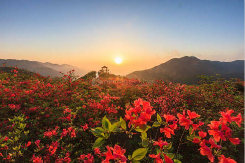 Dawei Mountain National Forest Park