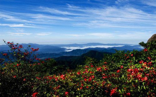 Dawei Mountain National Forest Park