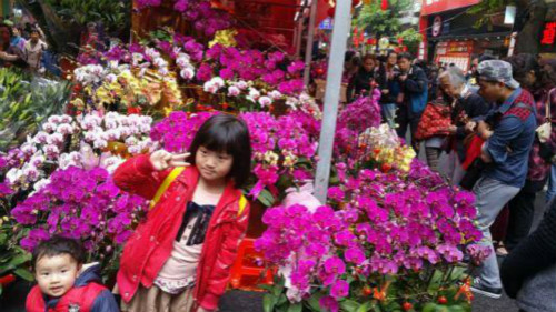 Changsha Spring Festival Flower Fair stages