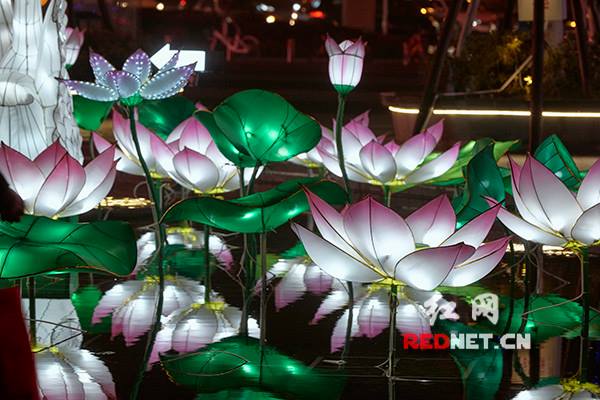 Various lanterns displayed at the Meixi XINTIANDI Shopping Center in Changsha to greet the upcoming Lantern Festival