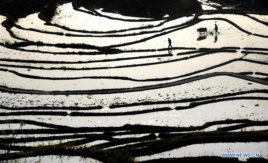 Bird's-eye view of terraced fields on Wuyun mountain in C China