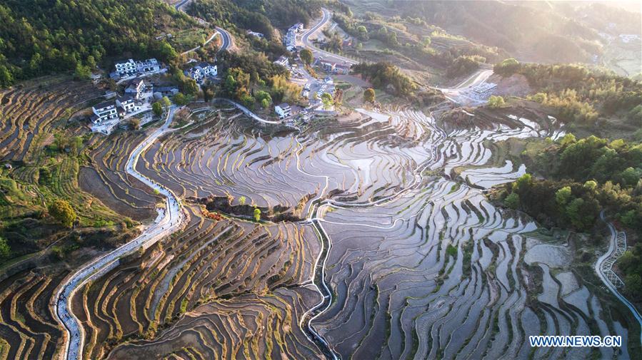 Bird's-eye view of terraced fields on Wuyun mountain in C China