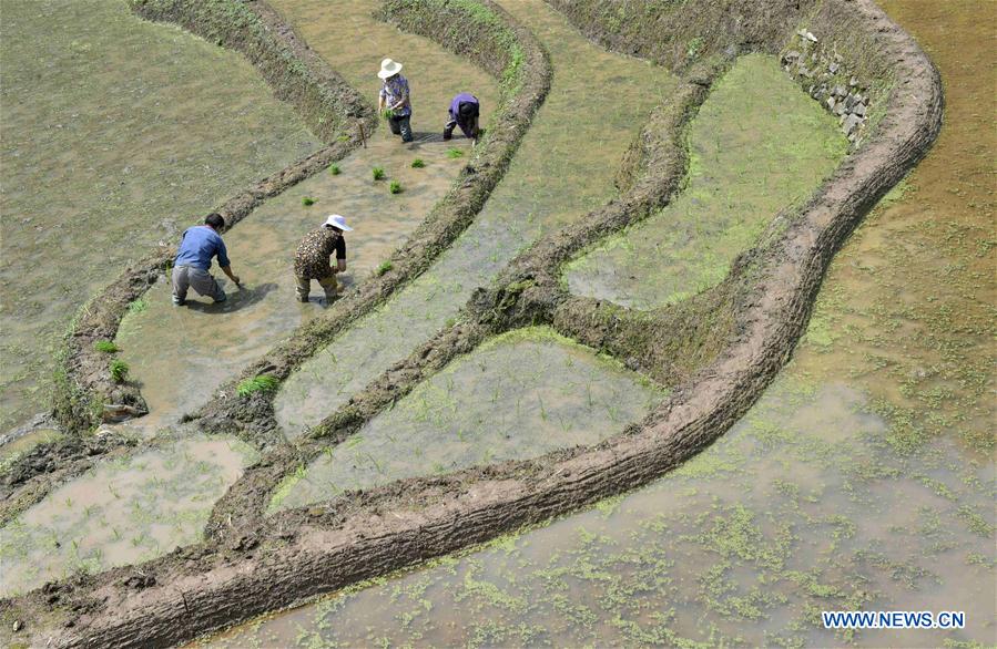 In pics: Farmers work at fields in China