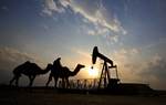 Oil giants eye Bahrain, expert warns of overdependence on imports