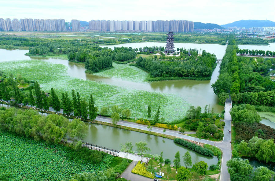Aerial View of Core Area of Biodiversity at Yanghu Wetland Park