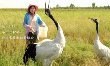 Story of love and sacrifice for crane protection is a hit