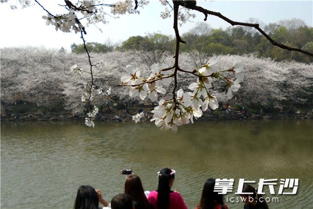 Hunan Forest Botanical Garden opens to tourists for free on May 31